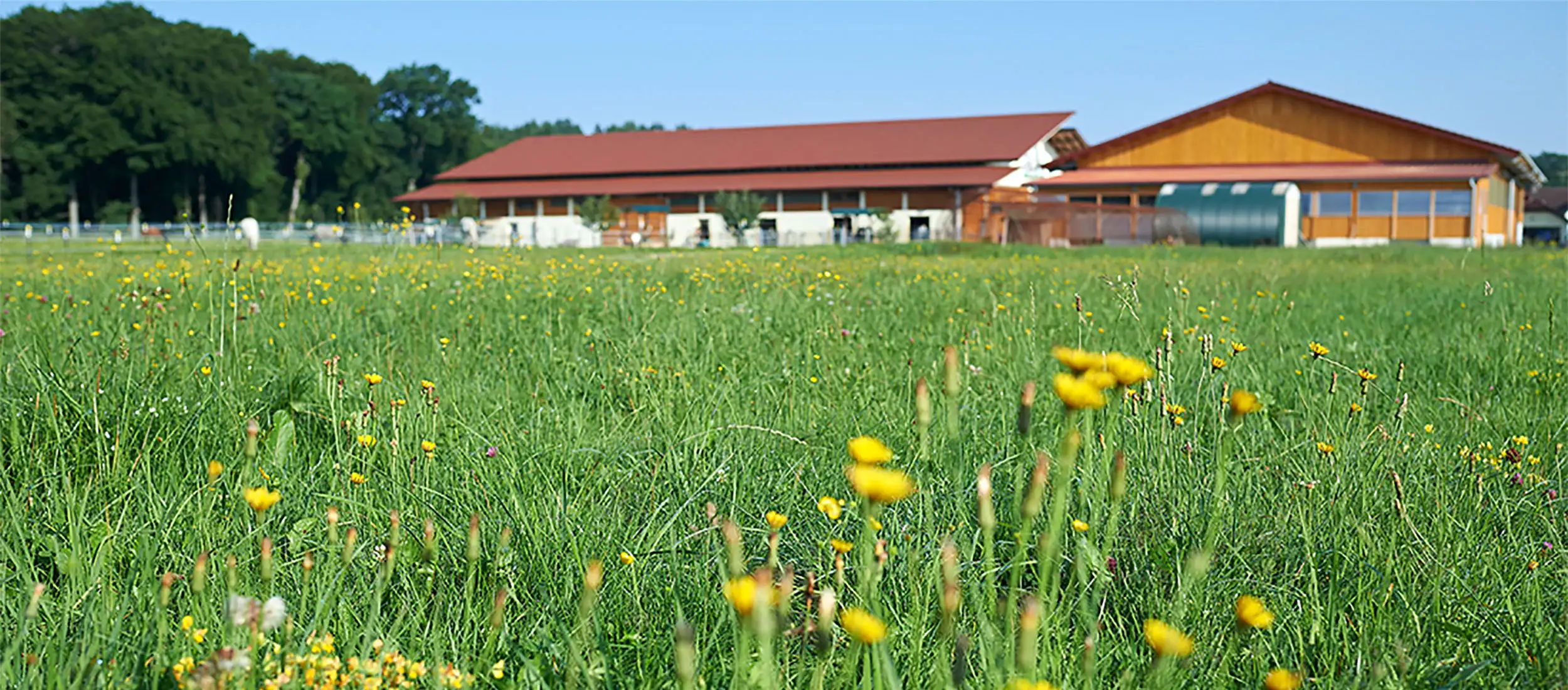 Lieb-Hof in Gilching - Weßling